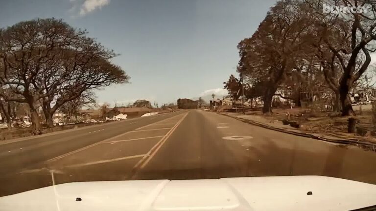 Image of Lahaina Maui Hawaii after the 2023 wildfires