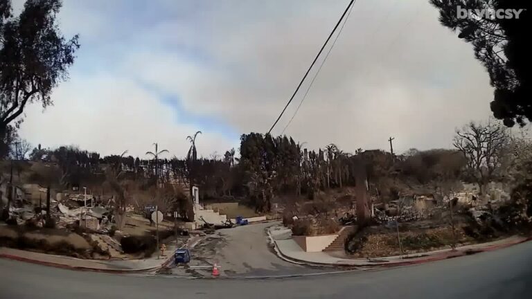 a73ae9aa-8161-479c-a6cf-130e825c2422_533416011-11